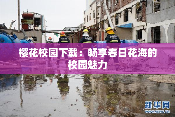 樱花校园下载：畅享春日花海的校园魅力