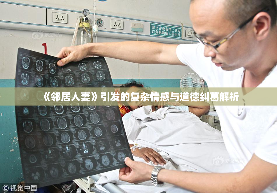 《邻居人妻》引发的复杂情感与道德纠葛解析
