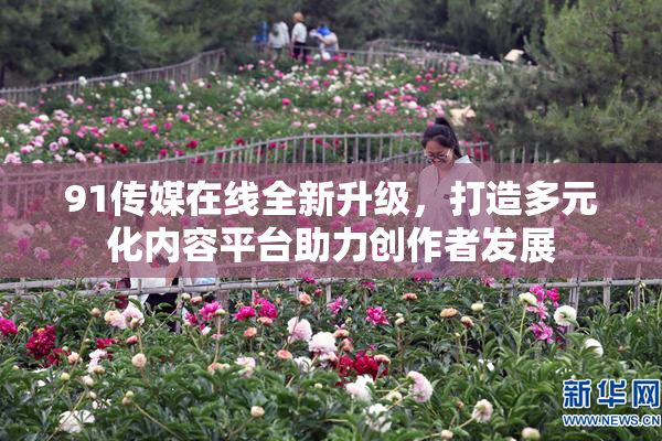 91传媒在线全新升级，打造多元化内容平台助力创作者发展