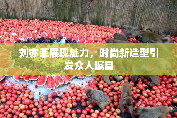 刘亦菲展现魅力，时尚新造型引发众人瞩目