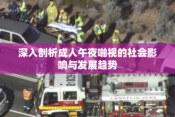 深入剖析成人午夜啪视的社会影响与发展趋势