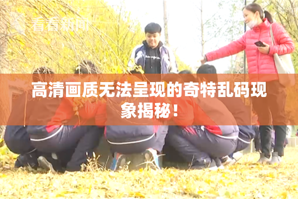 高清画质无法呈现的奇特乱码现象揭秘！