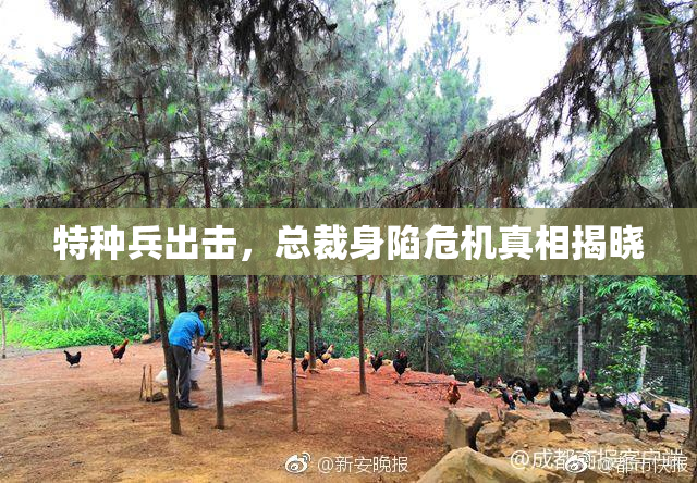 特种兵出击，总裁身陷危机真相揭晓