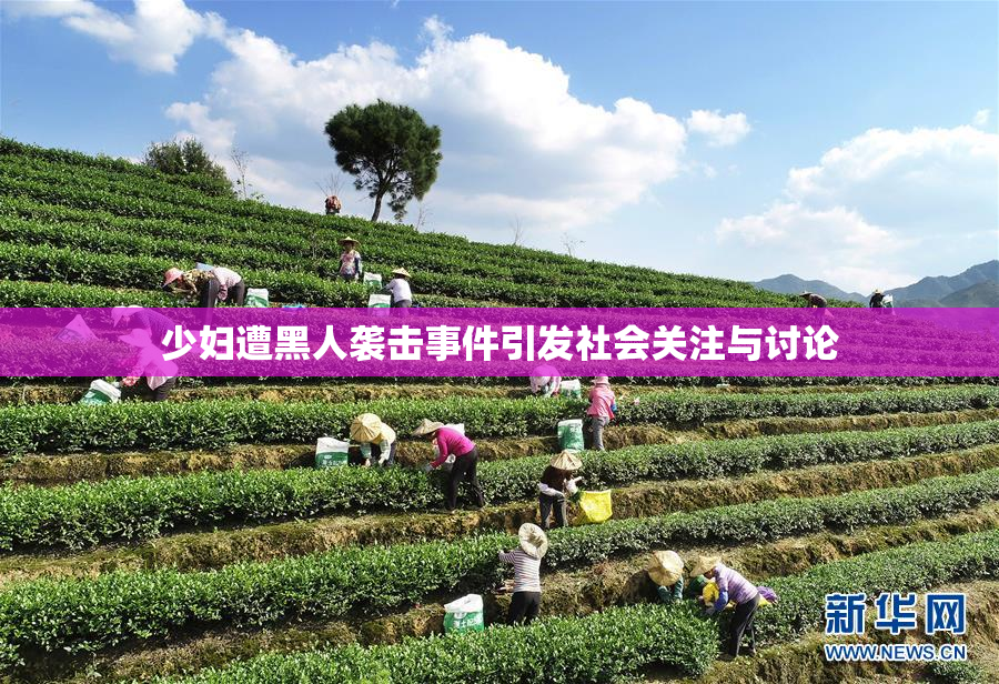 少妇遭黑人袭击事件引发社会关注与讨论