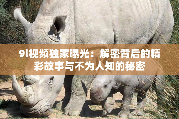 9l视频独家曝光：解密背后的精彩故事与不为人知的秘密