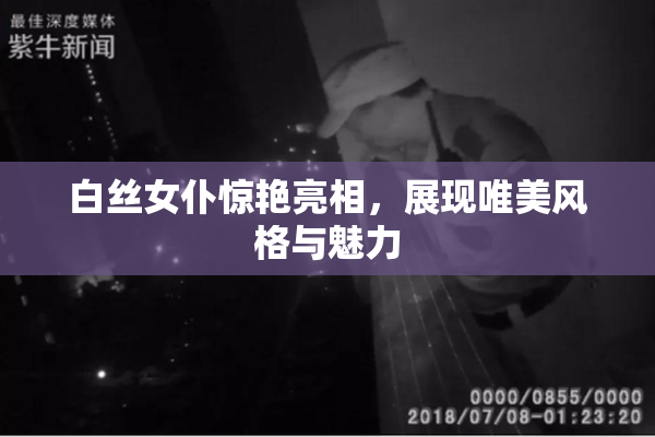 白丝女仆惊艳亮相，展现唯美风格与魅力