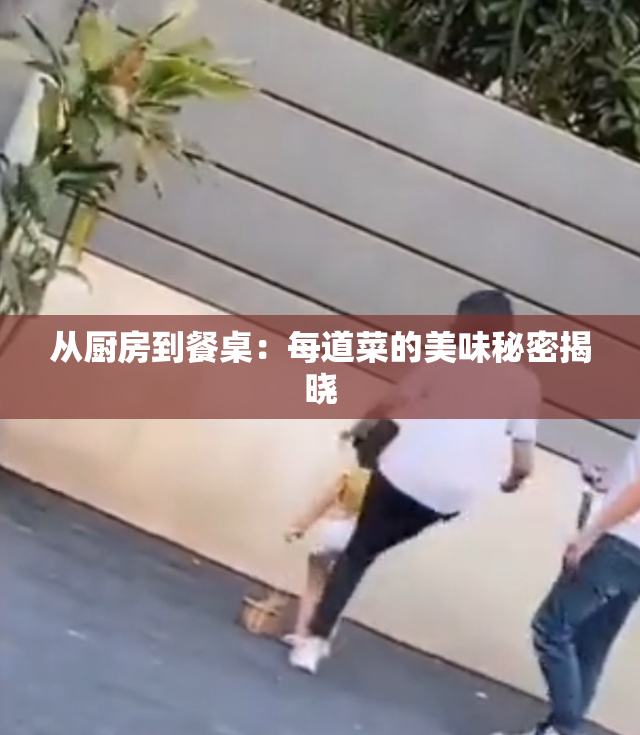 从厨房到餐桌：每道菜的美味秘密揭晓