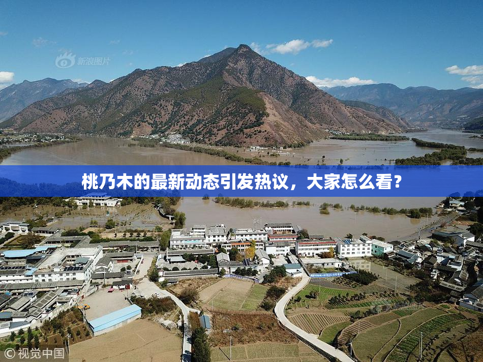 桃乃木的最新动态引发热议，大家怎么看？