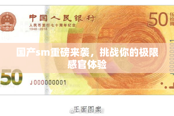 国产sm重磅来袭，挑战你的极限感官体验