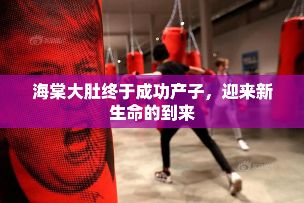 海棠大肚终于成功产子，迎来新生命的到来