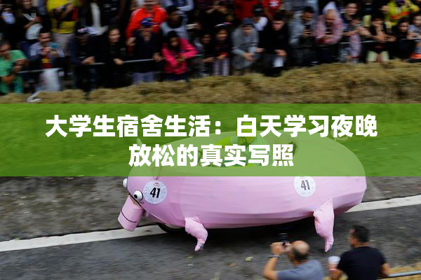 大学生宿舍生活：白天学习夜晚放松的真实写照