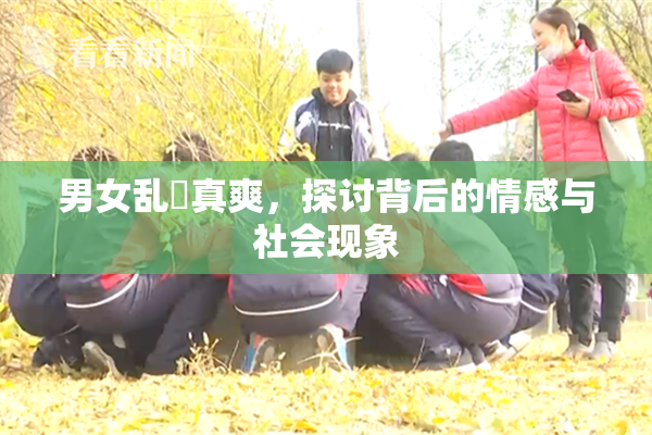 男女乱婬真爽，探讨背后的情感与社会现象