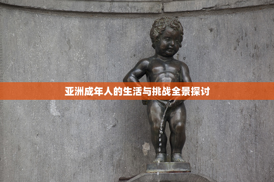 亚洲成年人的生活与挑战全景探讨