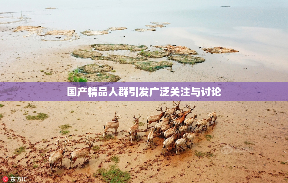 国产精品人群引发广泛关注与讨论