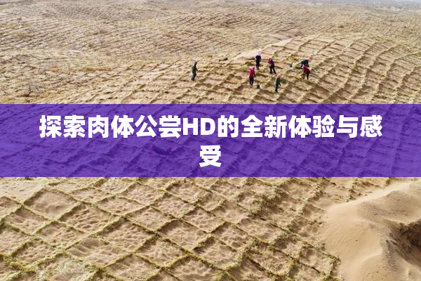 探索肉体公尝HD的全新体验与感受