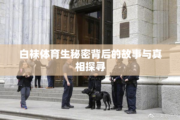 白袜体育生秘密背后的故事与真相探寻