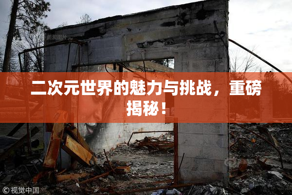 二次元世界的魅力与挑战，重磅揭秘！