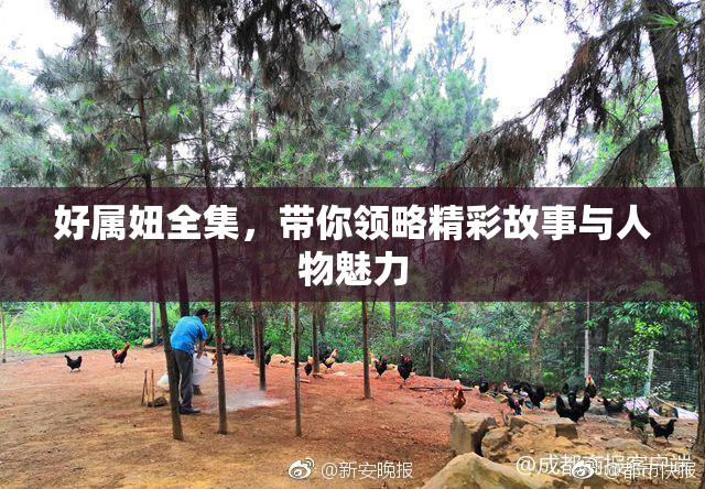 好属妞全集，带你领略精彩故事与人物魅力