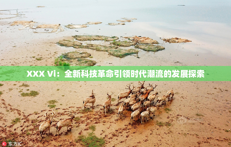 XXX Vi：全新科技革命引领时代潮流的发展探索