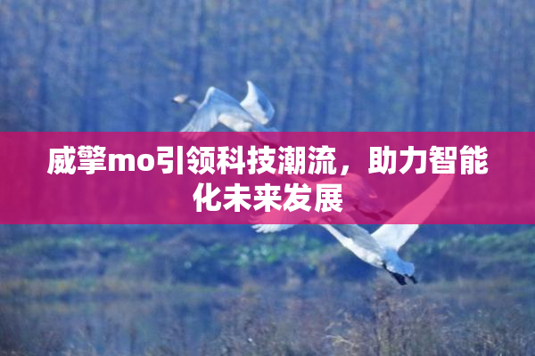 威擎mo引领科技潮流，助力智能化未来发展