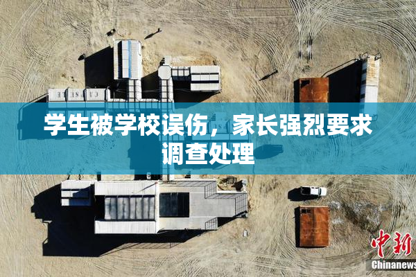 学生被学校误伤，家长强烈要求调查处理