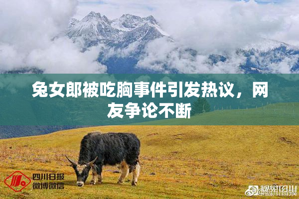 兔女郎被吃胸事件引发热议，网友争论不断