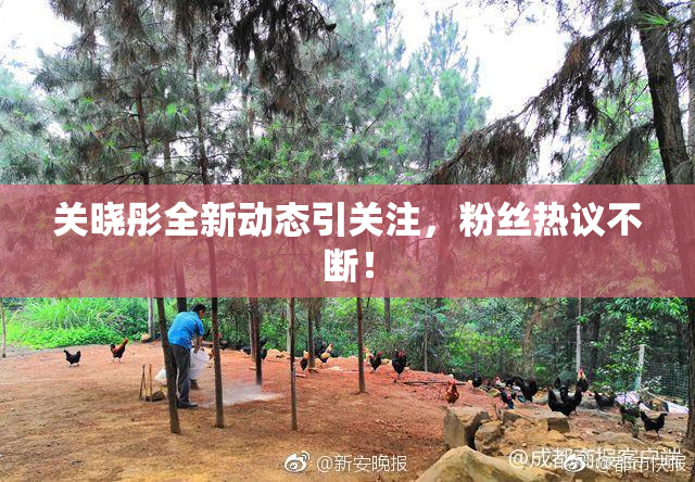 关晓彤全新动态引关注，粉丝热议不断！