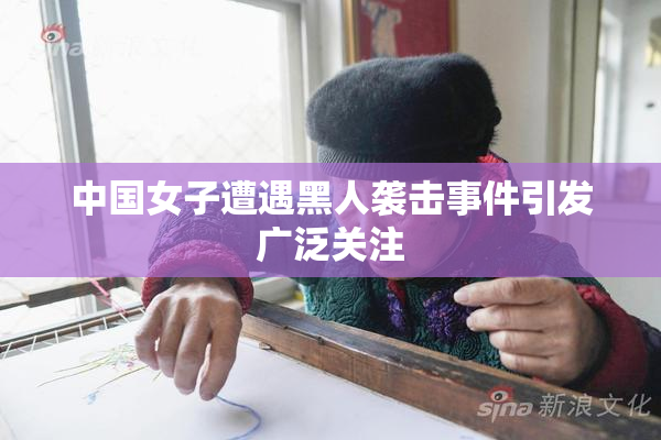 中国女子遭遇黑人袭击事件引发广泛关注