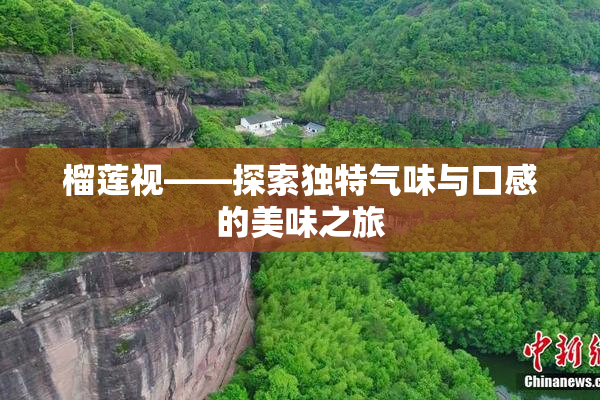 榴莲视——探索独特气味与口感的美味之旅