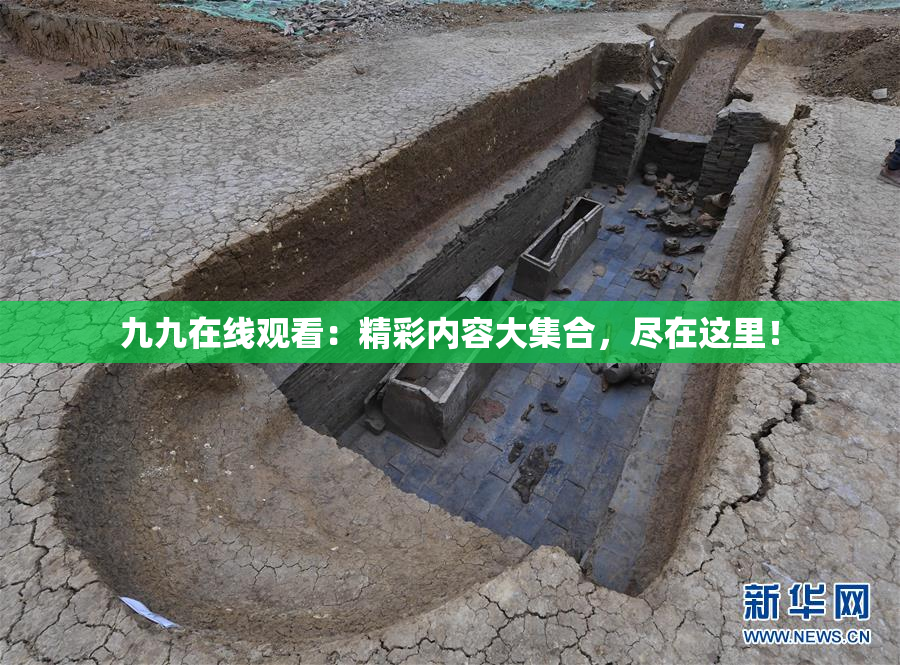 九九在线观看：精彩内容大集合，尽在这里！