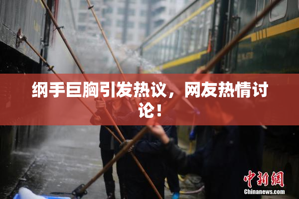 纲手巨胸引发热议，网友热情讨论！