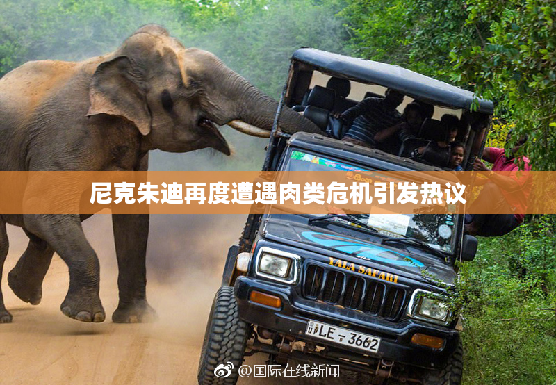 尼克朱迪再度遭遇肉类危机引发热议