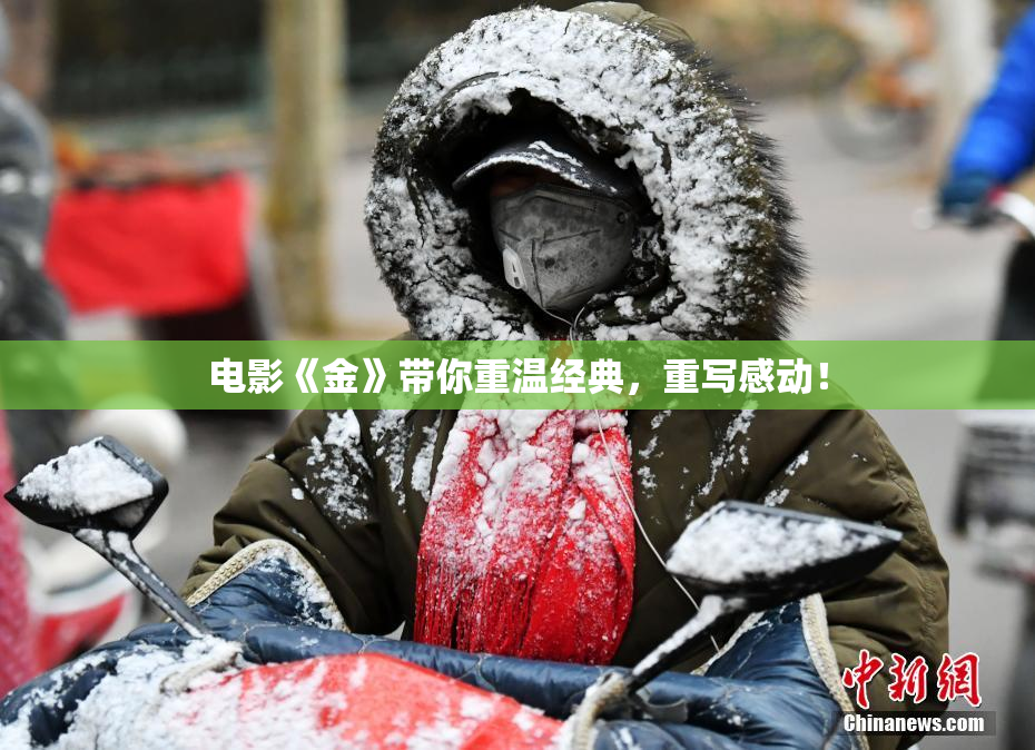 电影《金》带你重温经典，重写感动！
