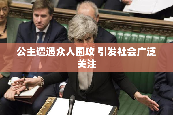公主遭遇众人围攻 引发社会广泛关注