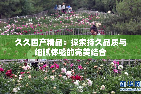 久久国产精品：探索持久品质与细腻体验的完美结合