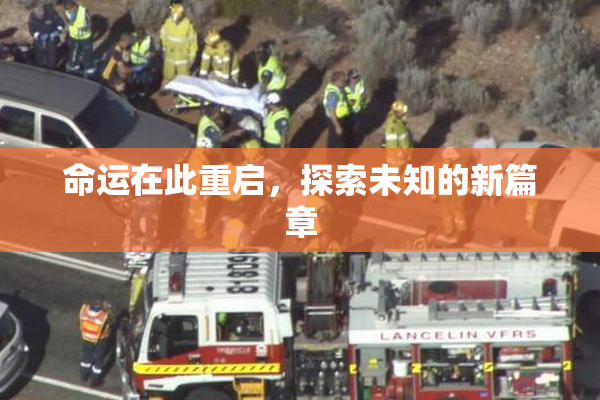 命运在此重启，探索未知的新篇章