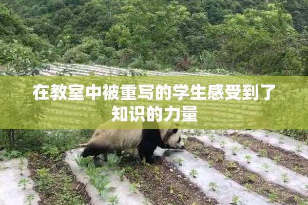 在教室中被重写的学生感受到了知识的力量