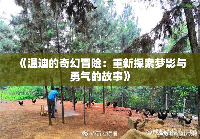 《温迪的奇幻冒险：重新探索梦影与勇气的故事》