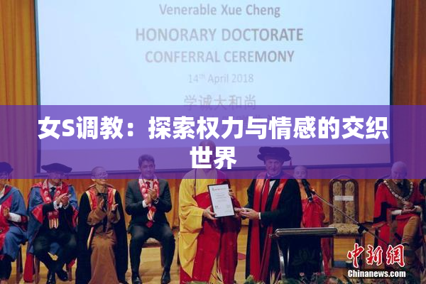女S调教：探索权力与情感的交织世界
