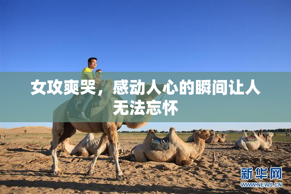 女攻爽哭，感动人心的瞬间让人无法忘怀