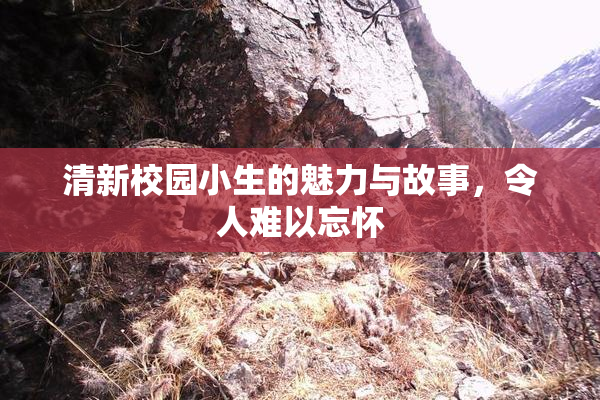 清新校园小生的魅力与故事，令人难以忘怀