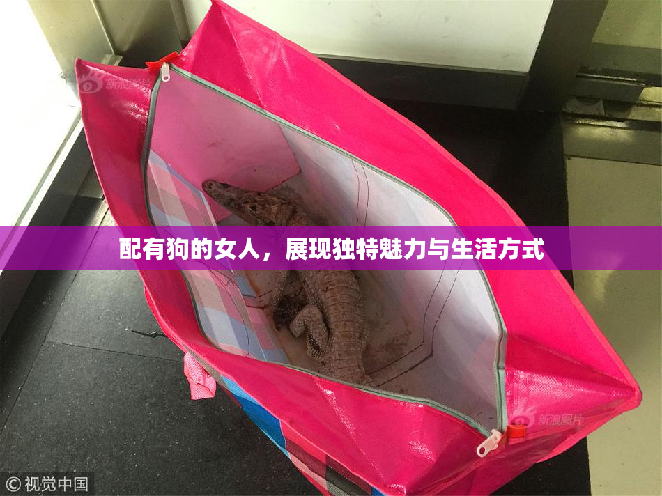 配有狗的女人，展现独特魅力与生活方式