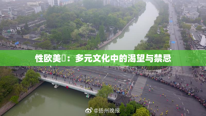 性欧美婬：多元文化中的渴望与禁忌