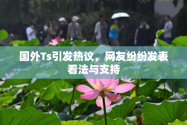 国外Ts引发热议，网友纷纷发表看法与支持