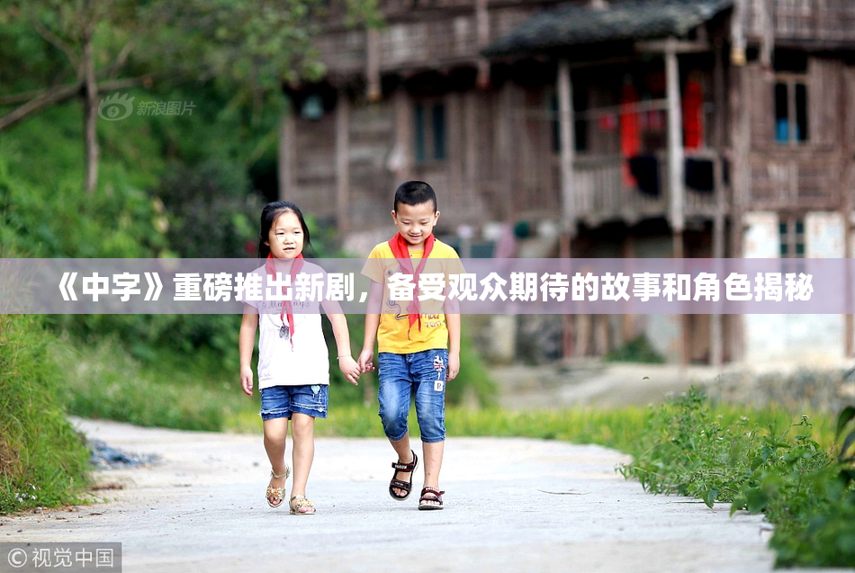 《中字》重磅推出新剧，备受观众期待的故事和角色揭秘