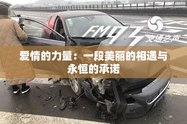 爱情的力量：一段美丽的相遇与永恒的承诺