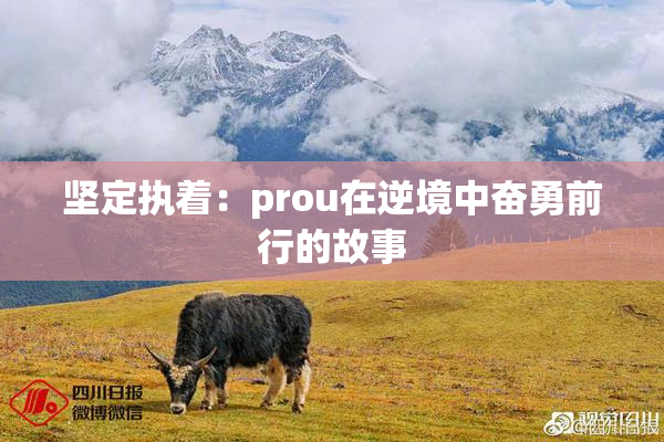 坚定执着：prou在逆境中奋勇前行的故事