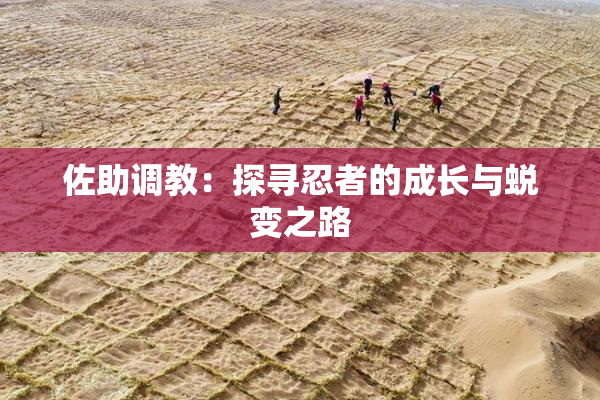 佐助调教：探寻忍者的成长与蜕变之路