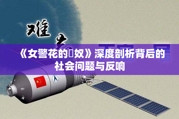 《女警花的婬奴》深度剖析背后的社会问题与反响