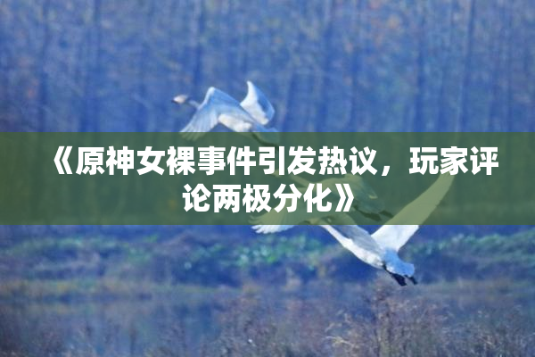《原神女裸事件引发热议，玩家评论两极分化》